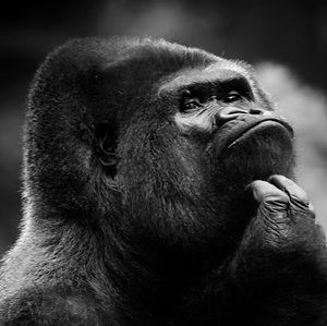 Meet your Posher, Ben